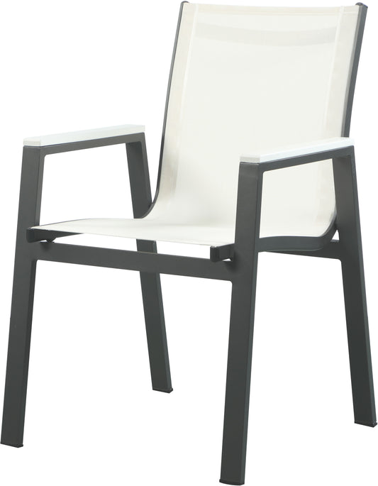 Nizuc - Outdoor Patio Dining Arm Chair With Gray Frame (Set of 2)