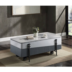 Wilkins - Coffee Table With Lift Top - Gray & White High