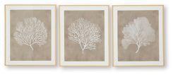 Hendridge - Taupe / White - Wall Art Set (Set of 3)