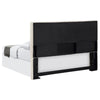 Pirro - Upholstered Panel Headboard
