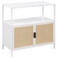 Amherst - 2-Door Radio Weave Cane Metal Accent Cabinet