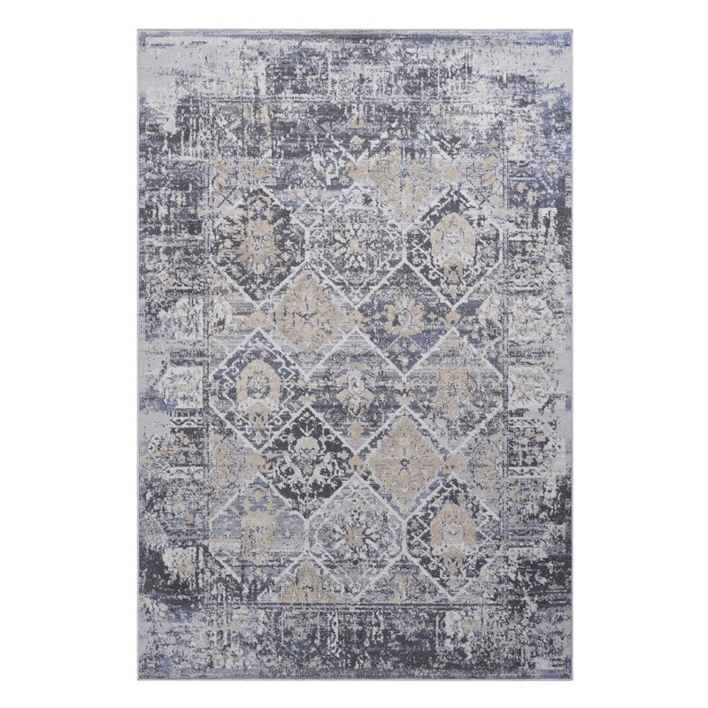 Payas - 6' X 9' Traditional Area Rug - Gray / Blue