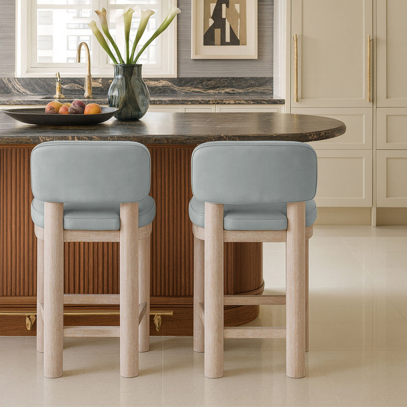 Paloma - Faux Leather Upholstered Counter Stool (Set of 2)