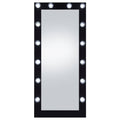 Zayan Floor Mirror with LED Lighting