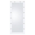 Zayan Floor Mirror with LED Lighting