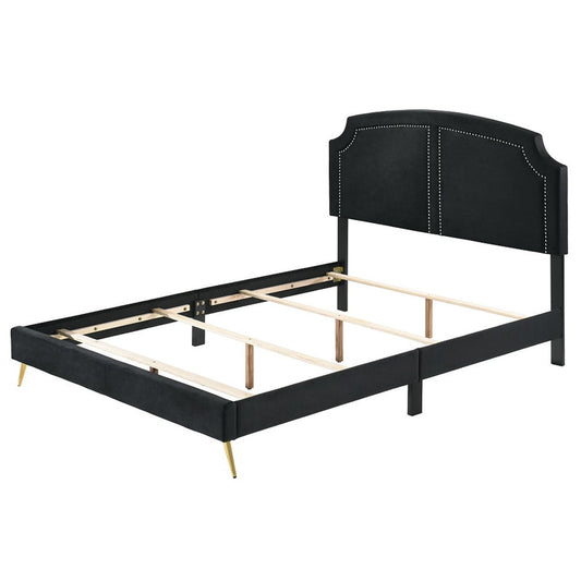 Zeena - Full Bed - Black Velvet
