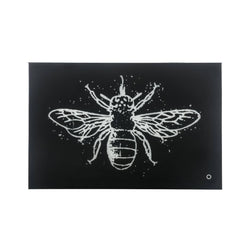 Talisha - Wall Art With LED - Smoky Glass & Faux Crystal