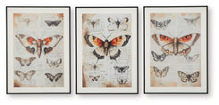 Jossletts - Orange / Black / Ivory - Wall Art Set (Set of 3)
