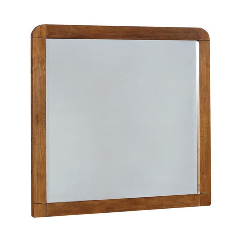 Robyn - Dresser Mirror - Dark Walnut