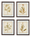 Dyani - Brown - Wall Art Set (Set of 4)